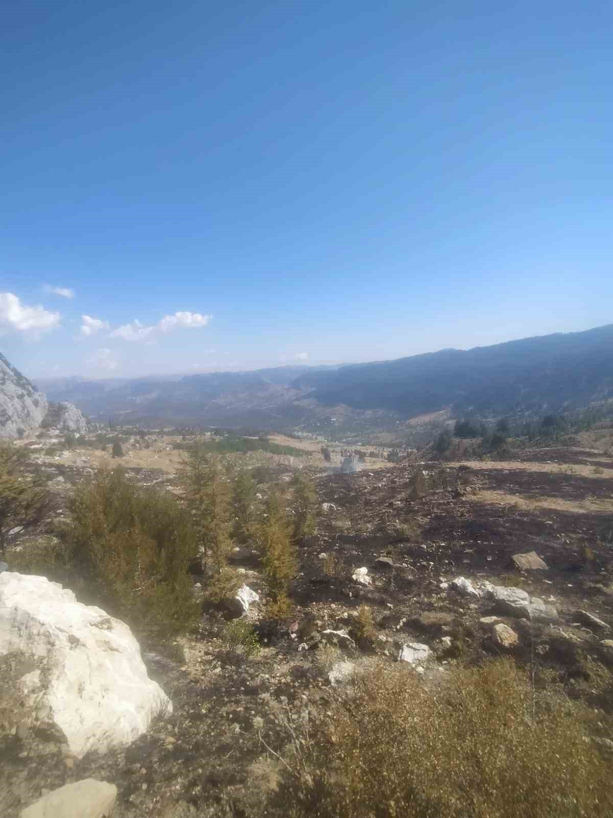 Alanya’da makilik alanda çıkan yangın ormana sıçramadan söndürüldü
