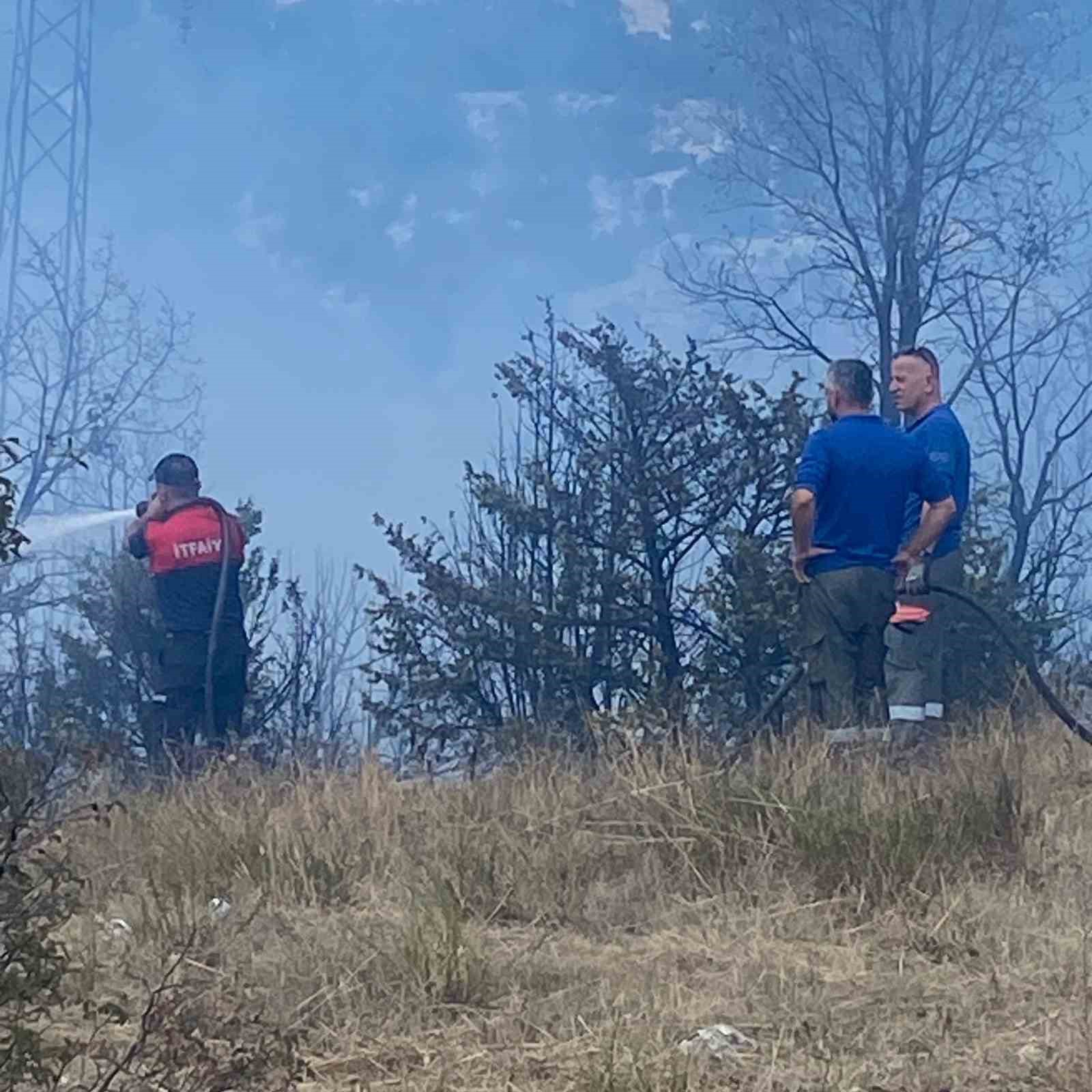 Emet’te orman yangını
