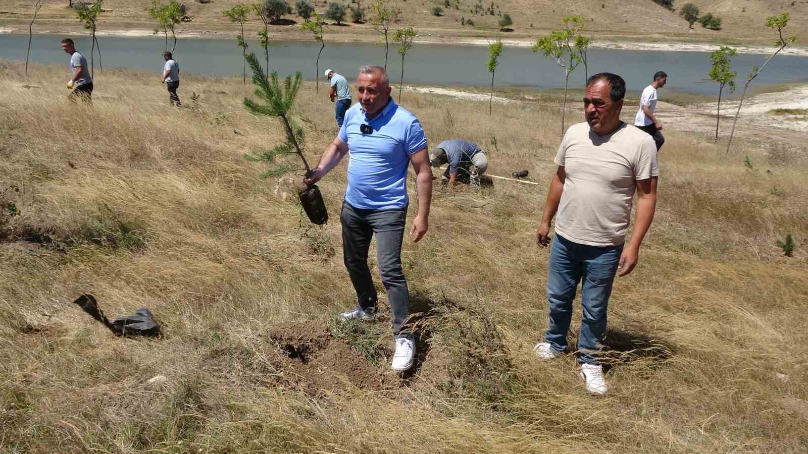 Gurbetçiler bozkırı yeşillendirdi
