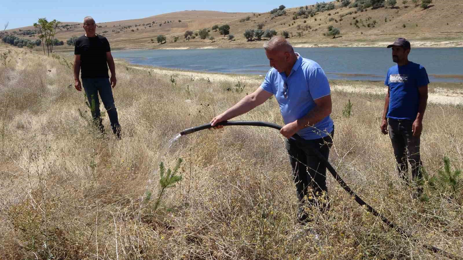 Gurbetçiler bozkırı yeşillendirdi
