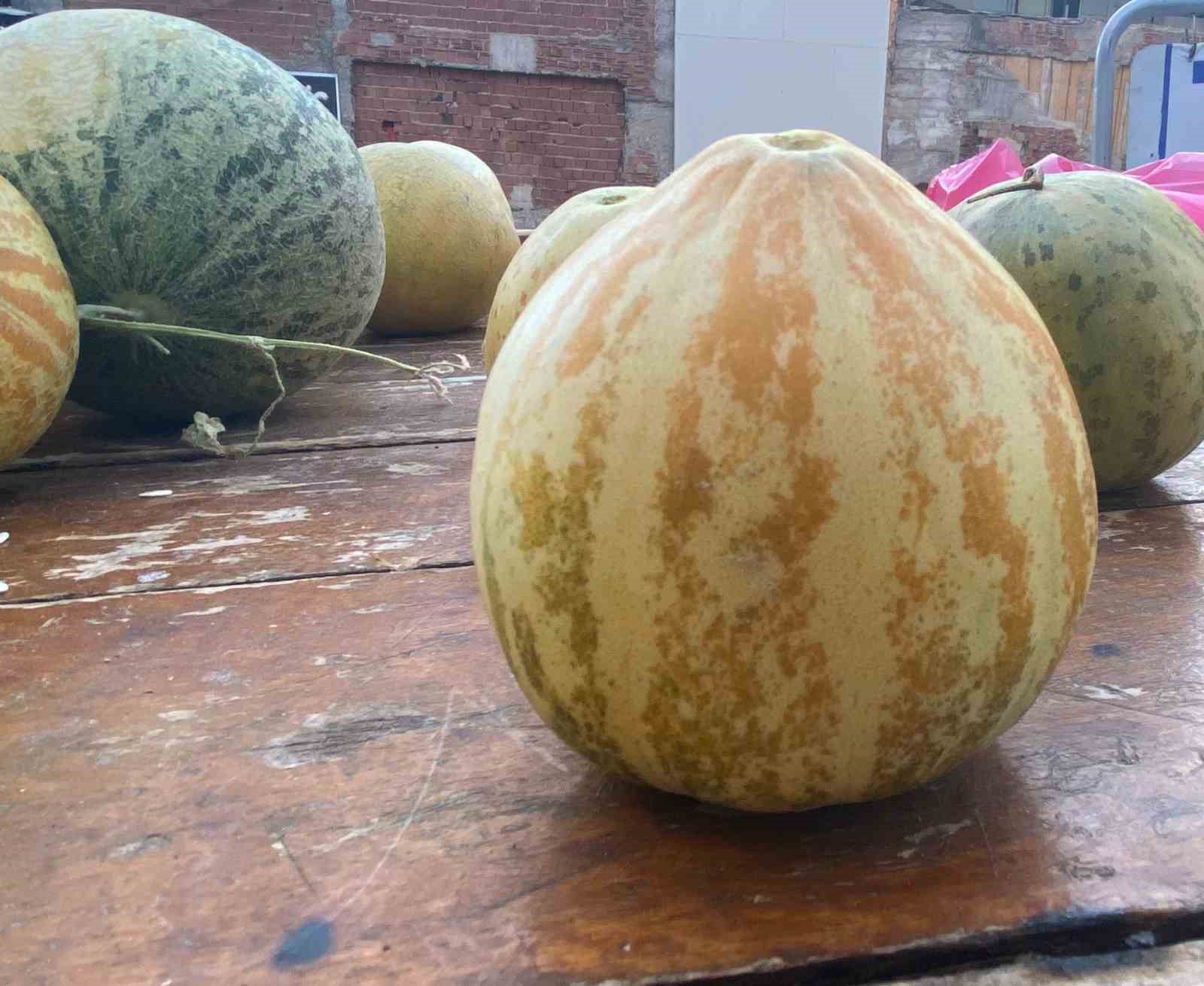 Elazığ’da susuz yetişen Kultik kavunu tezgahlarda
