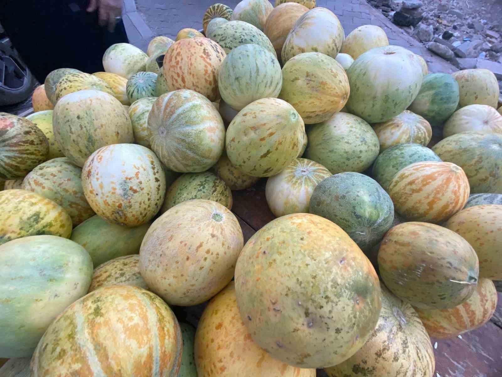 Elazığ’da susuz yetişen Kultik kavunu tezgahlarda
