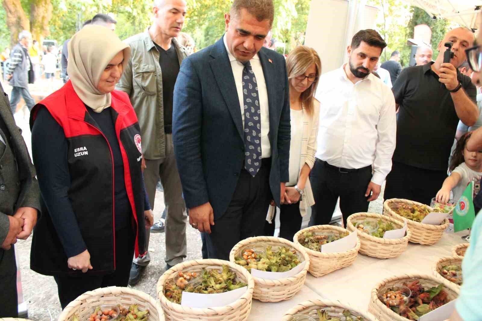 Yörük köyünde yapılan fındık hasat şenliği ile başladı
