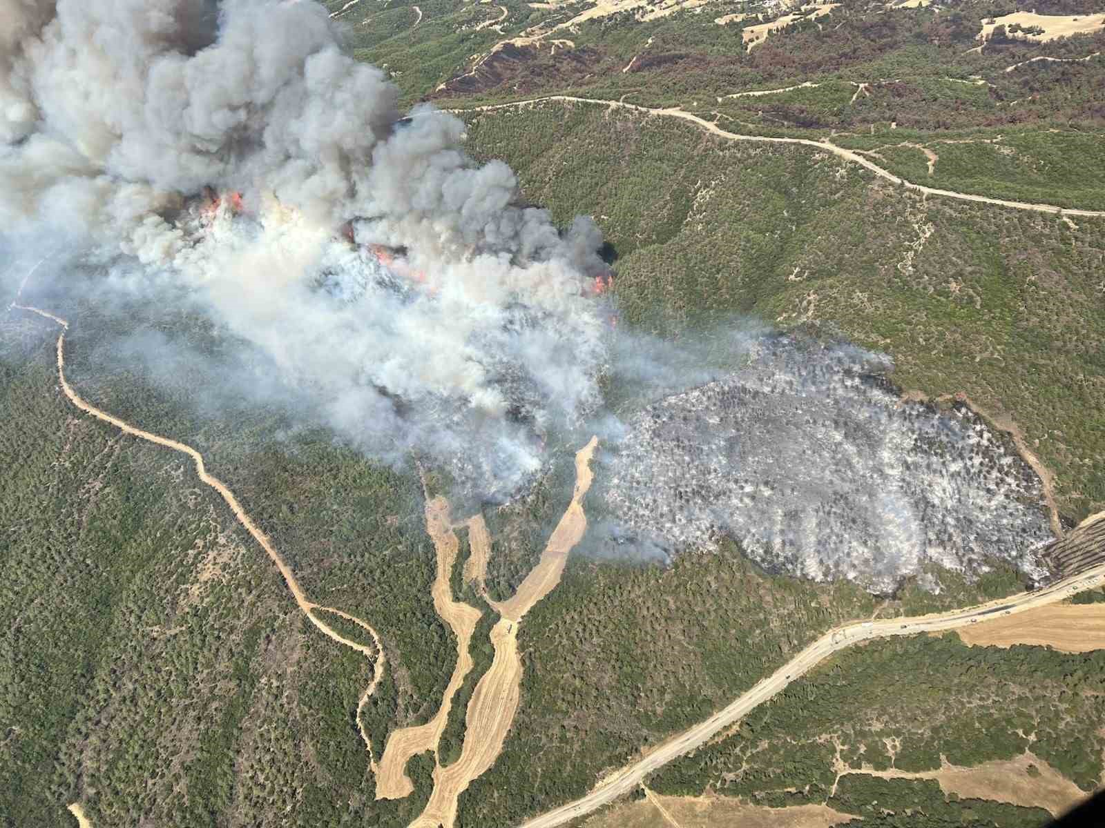 Eceabat’taki orman yangını rüzgarın etkisiyle büyüyor
