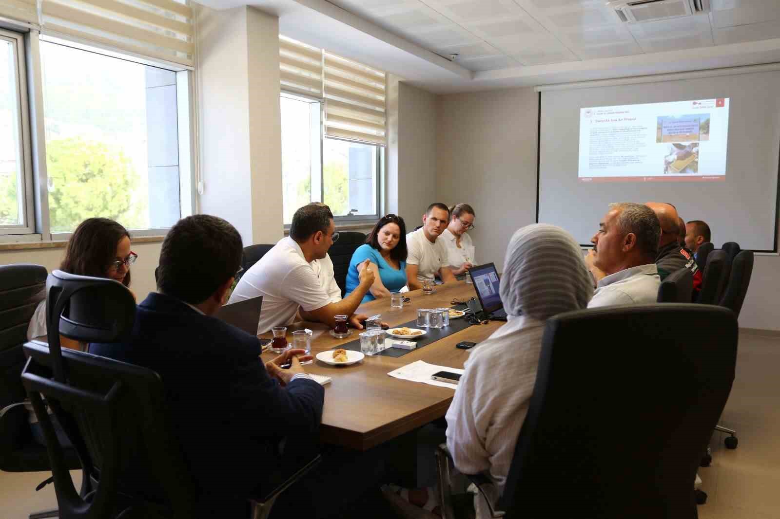 Muğla’nın çam balı, Birleşik Krallık’ın radarında
