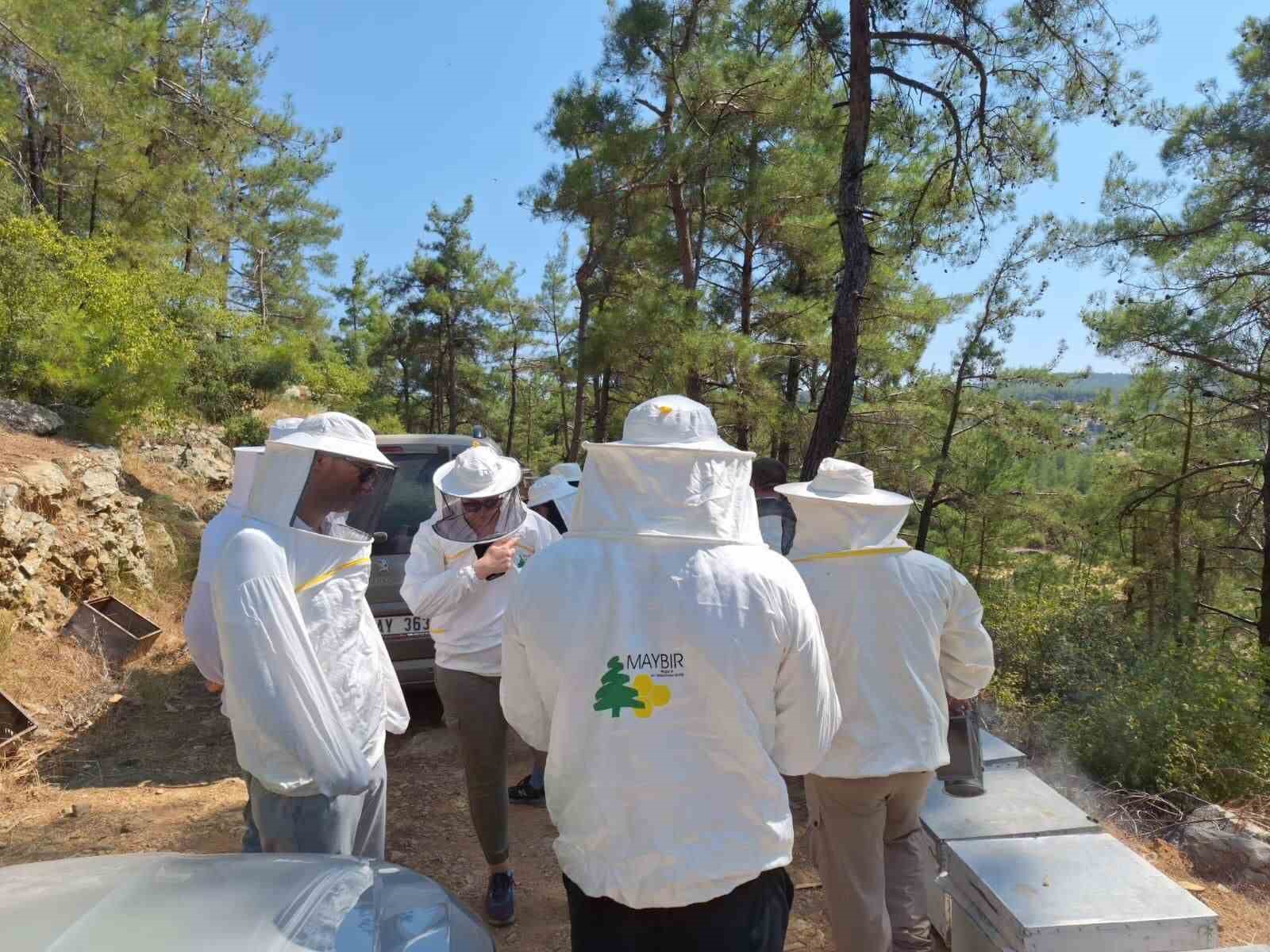 Muğla’nın çam balı, Birleşik Krallık’ın radarında
