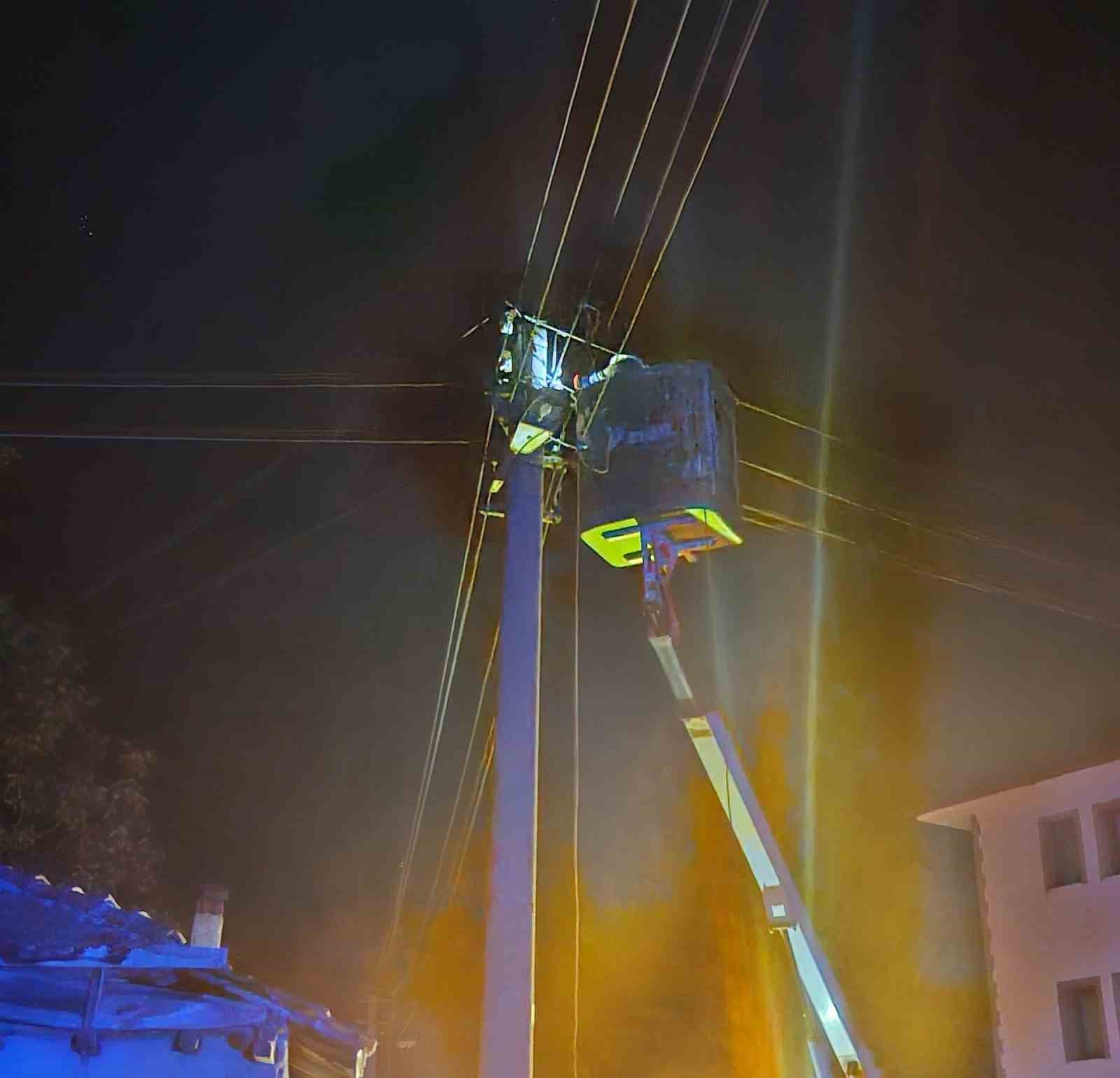 Elektrik direğine çarpan sürücü kayıplara karıştı
