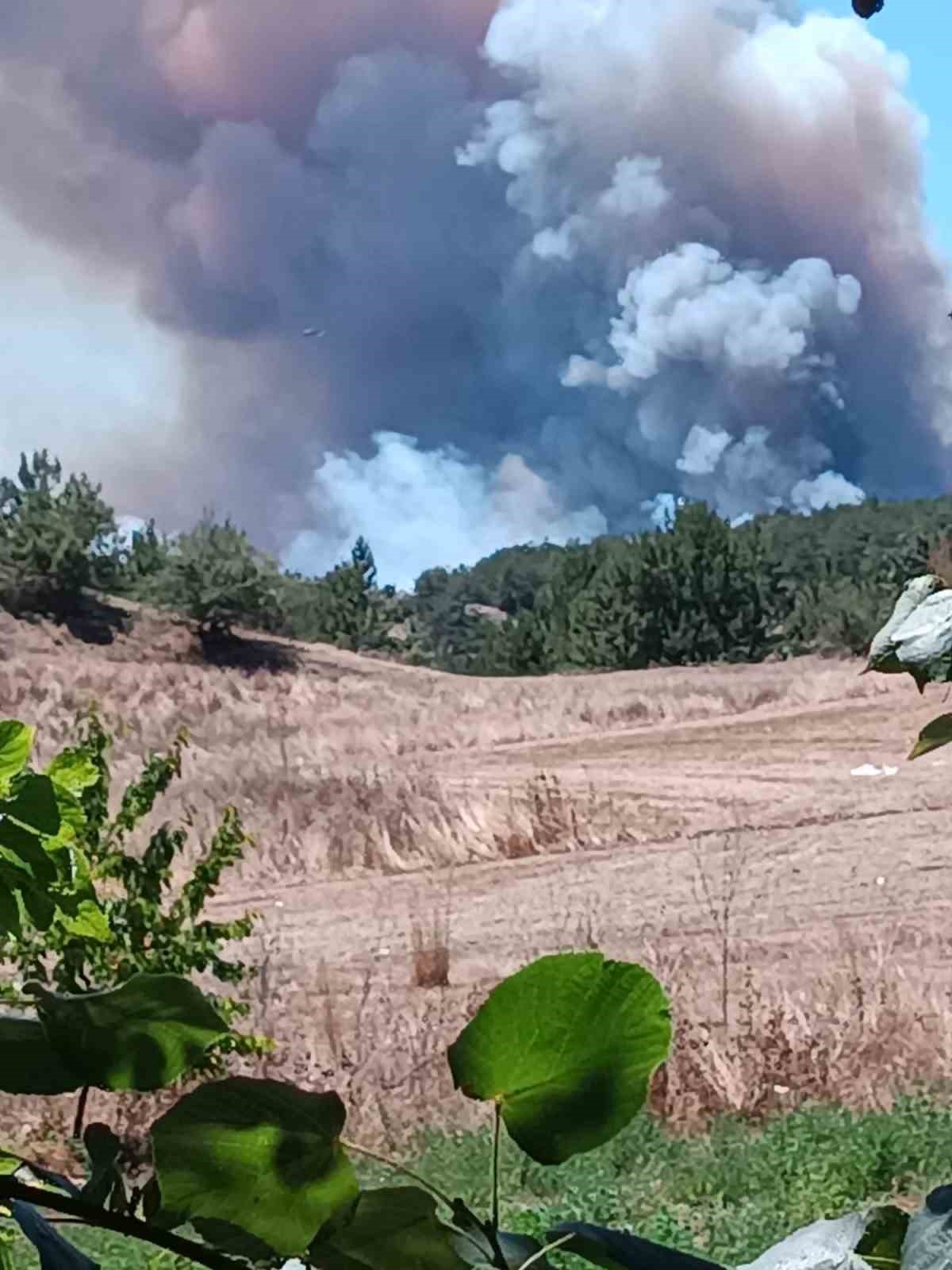 Bolu’da 2 ilçe arasında orman yangını başladı: Dumanlar gökyüzünü kapladı
