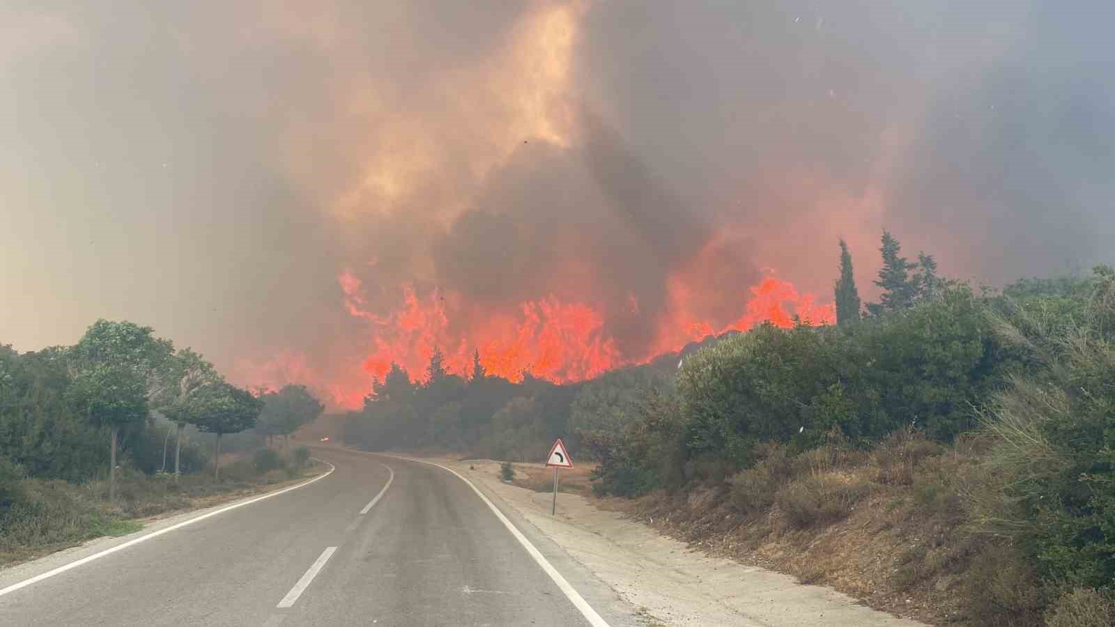 Eceabat’taki orman yangını büyüyor
