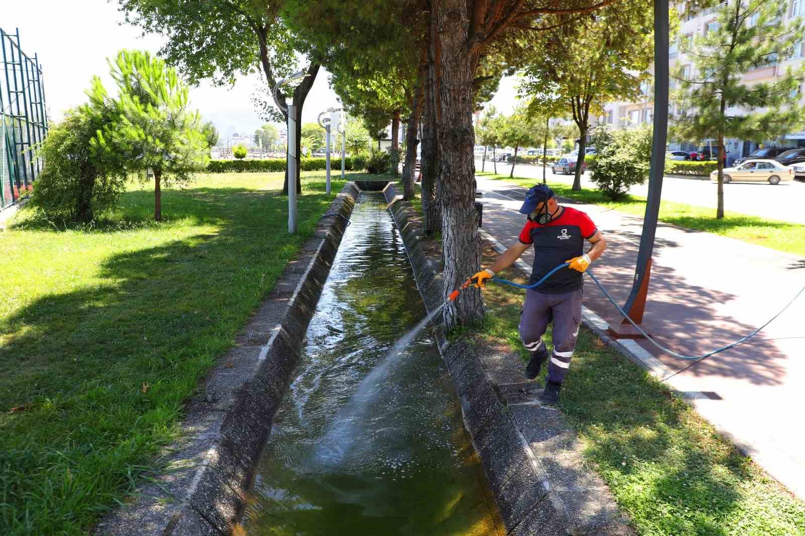 Ordu’da vektörlere karşı mücadele sürüyor
