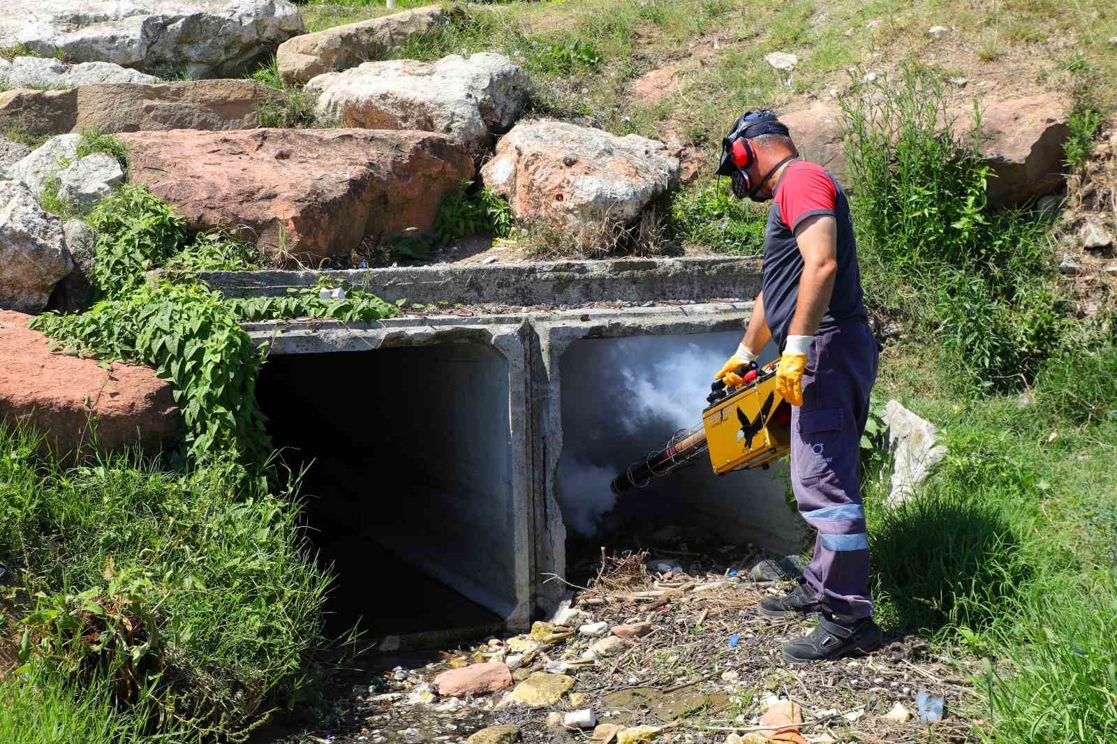 Ordu’da vektörlere karşı mücadele sürüyor
