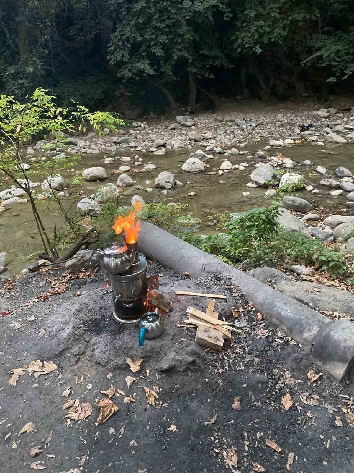 Mangal yakanlara ceza yağıyor
