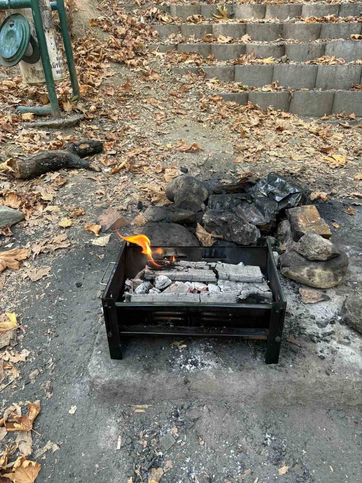 Mangal yakanlara ceza yağıyor
