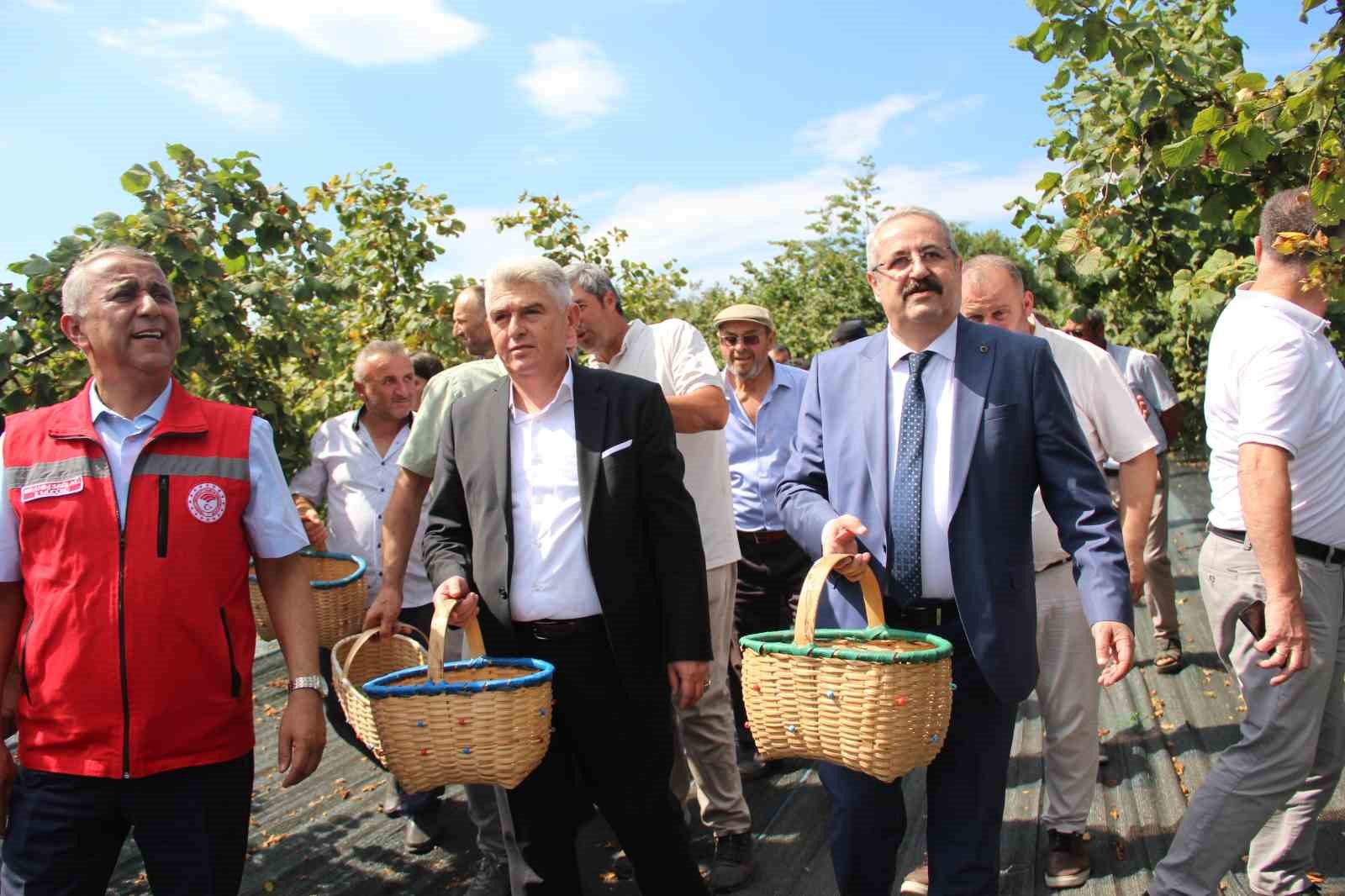 Samsun’da fındık hasadı: 114 bin ton rekolte beklentisi
