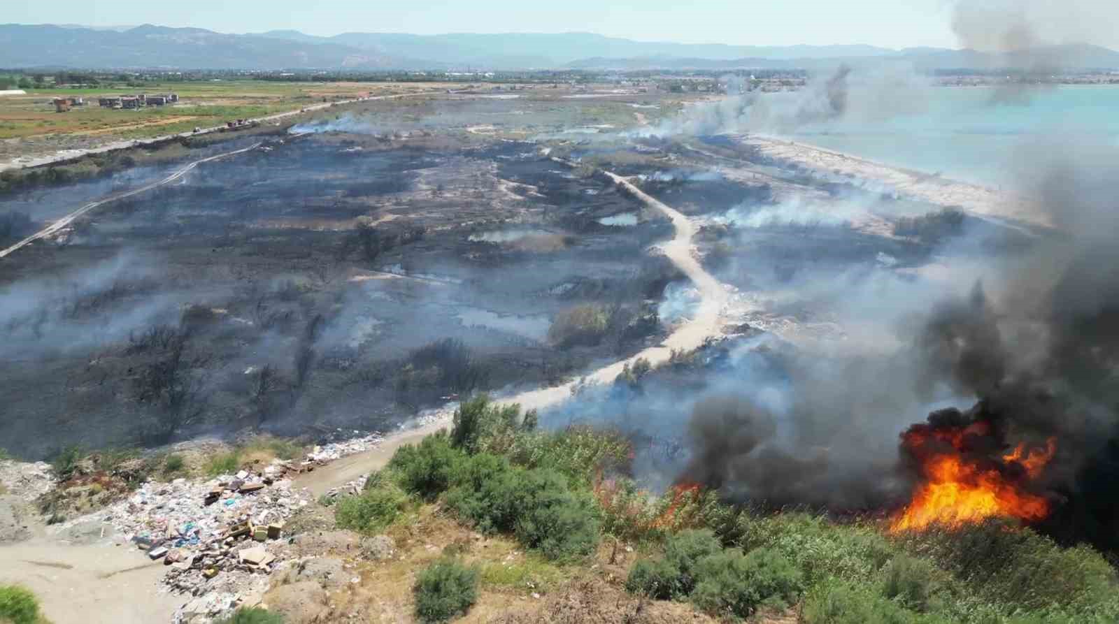 Yanan sazlık yangın anı ve sonrası havadan böyle görüntülendi
