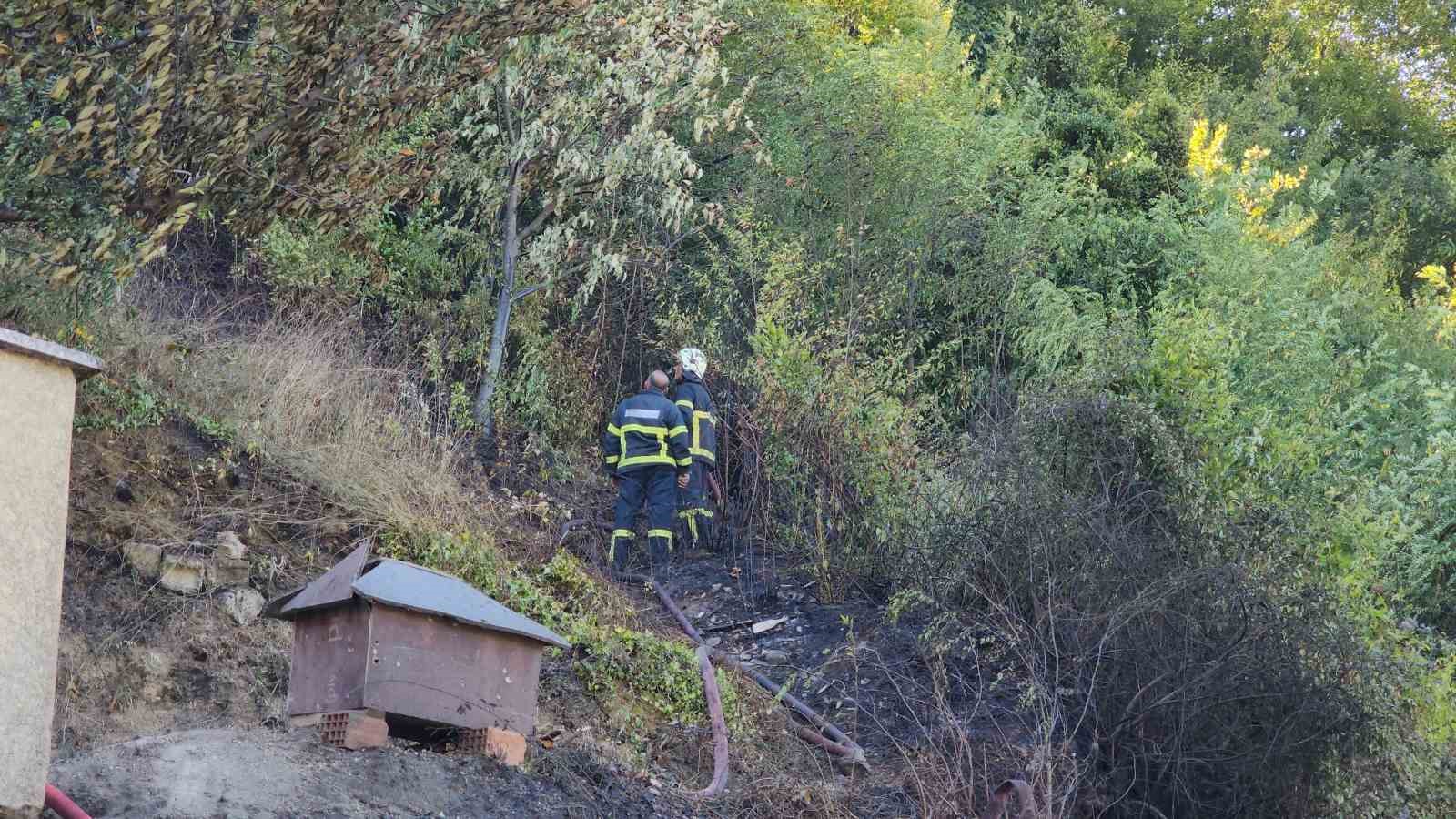 Belediyenin hayvan toplama aracında çıkan yangın ormanlık alana sıçradı
