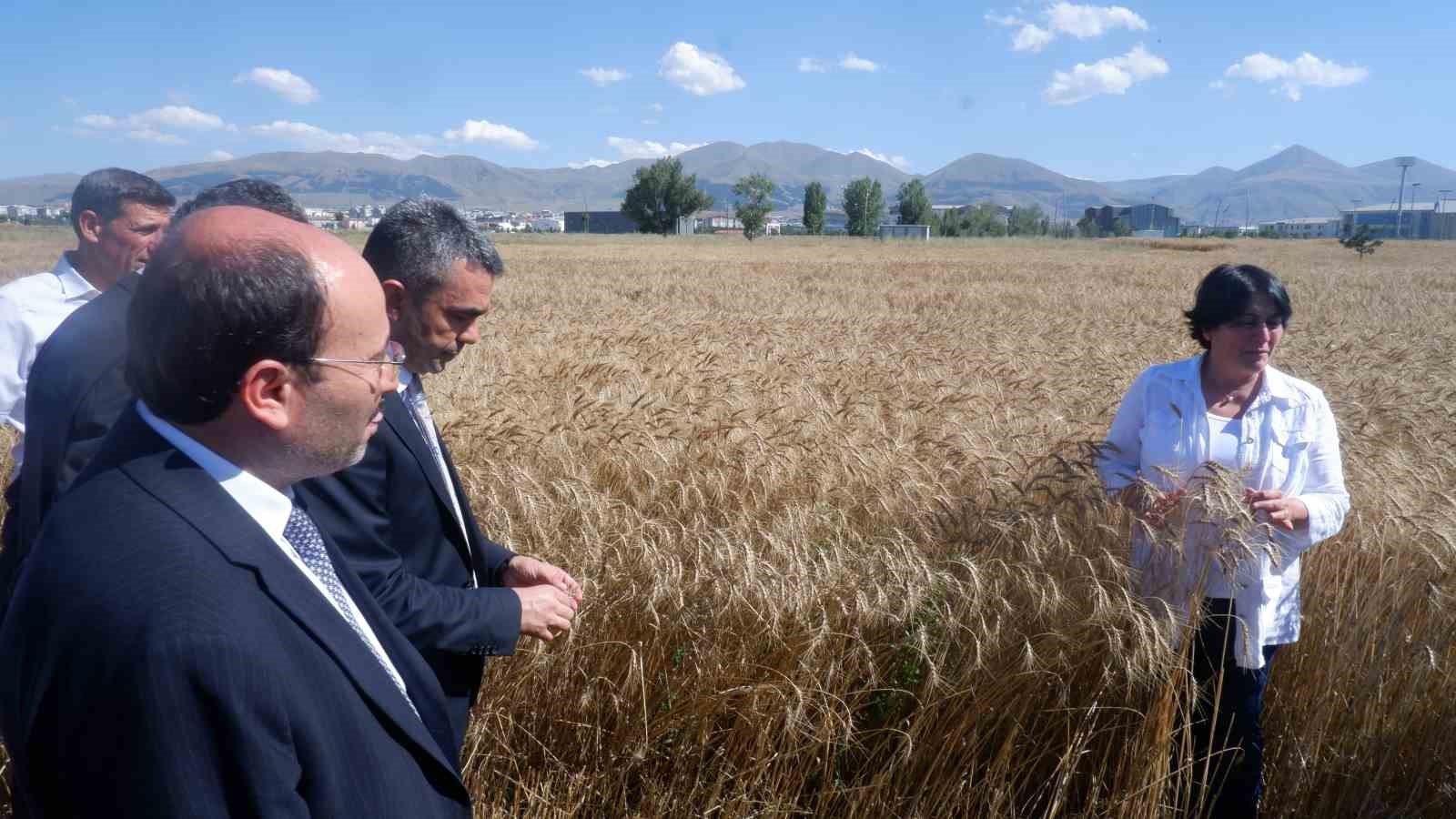 Erzurum’da milli ve yerli tohum hamlesi
