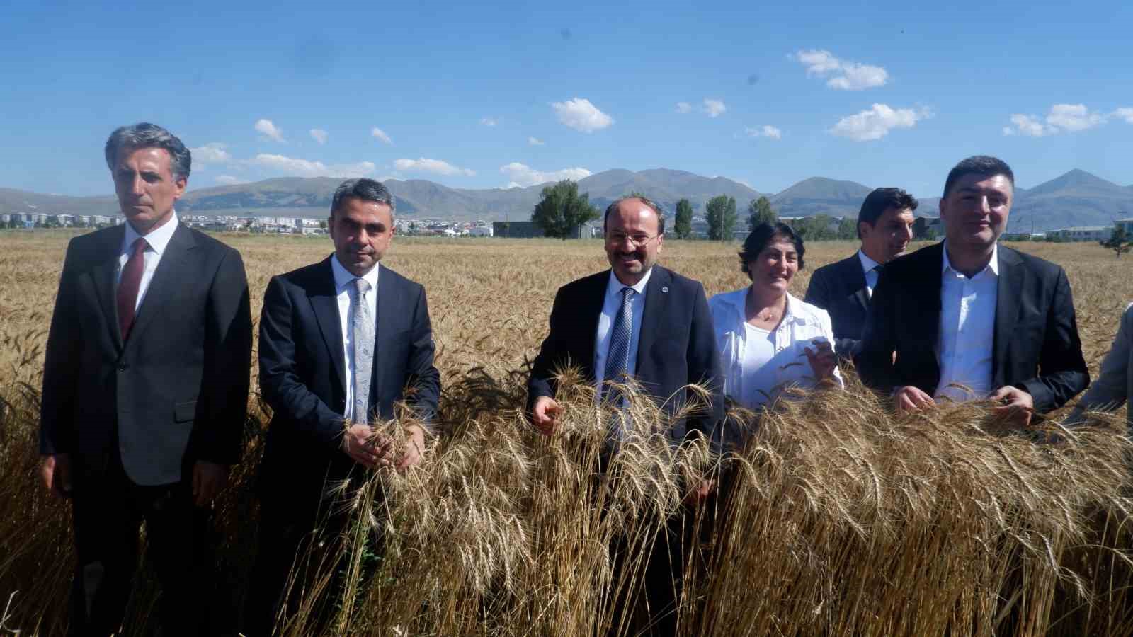 Erzurum’da milli ve yerli tohum hamlesi
