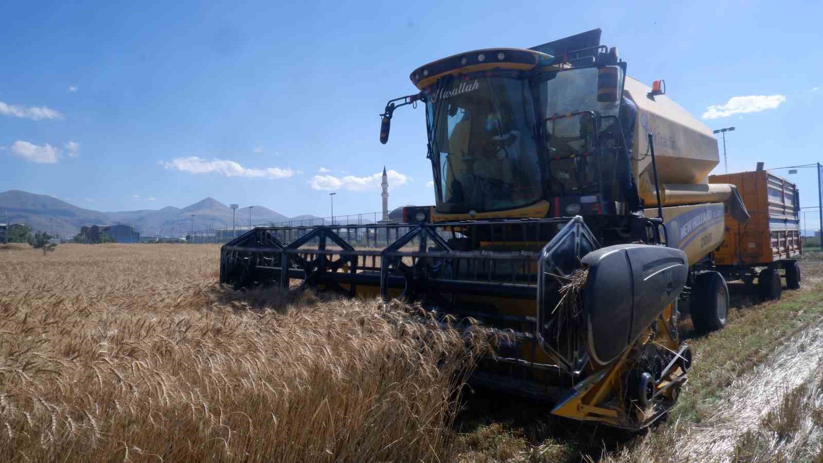 Erzurum’da milli ve yerli tohum hamlesi
