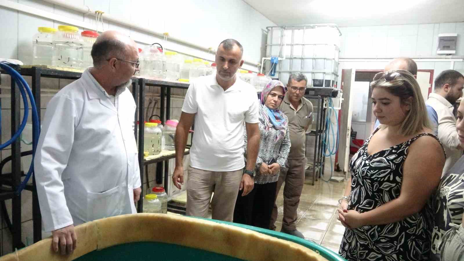 Sülük tedavisi eğitimine yurt dışından yoğun ilgi
