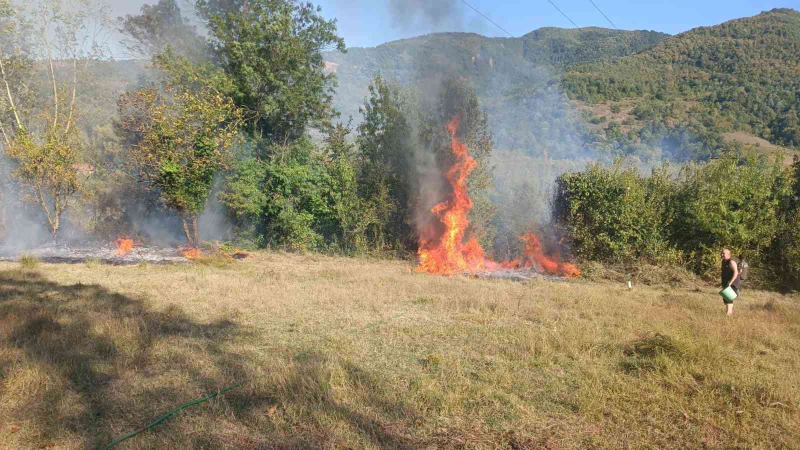 Bartın’da anız yangını
