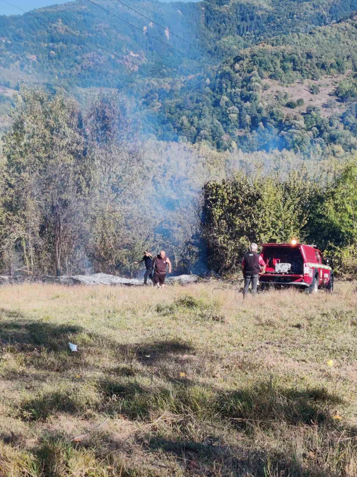 Bartın’da anız yangını
