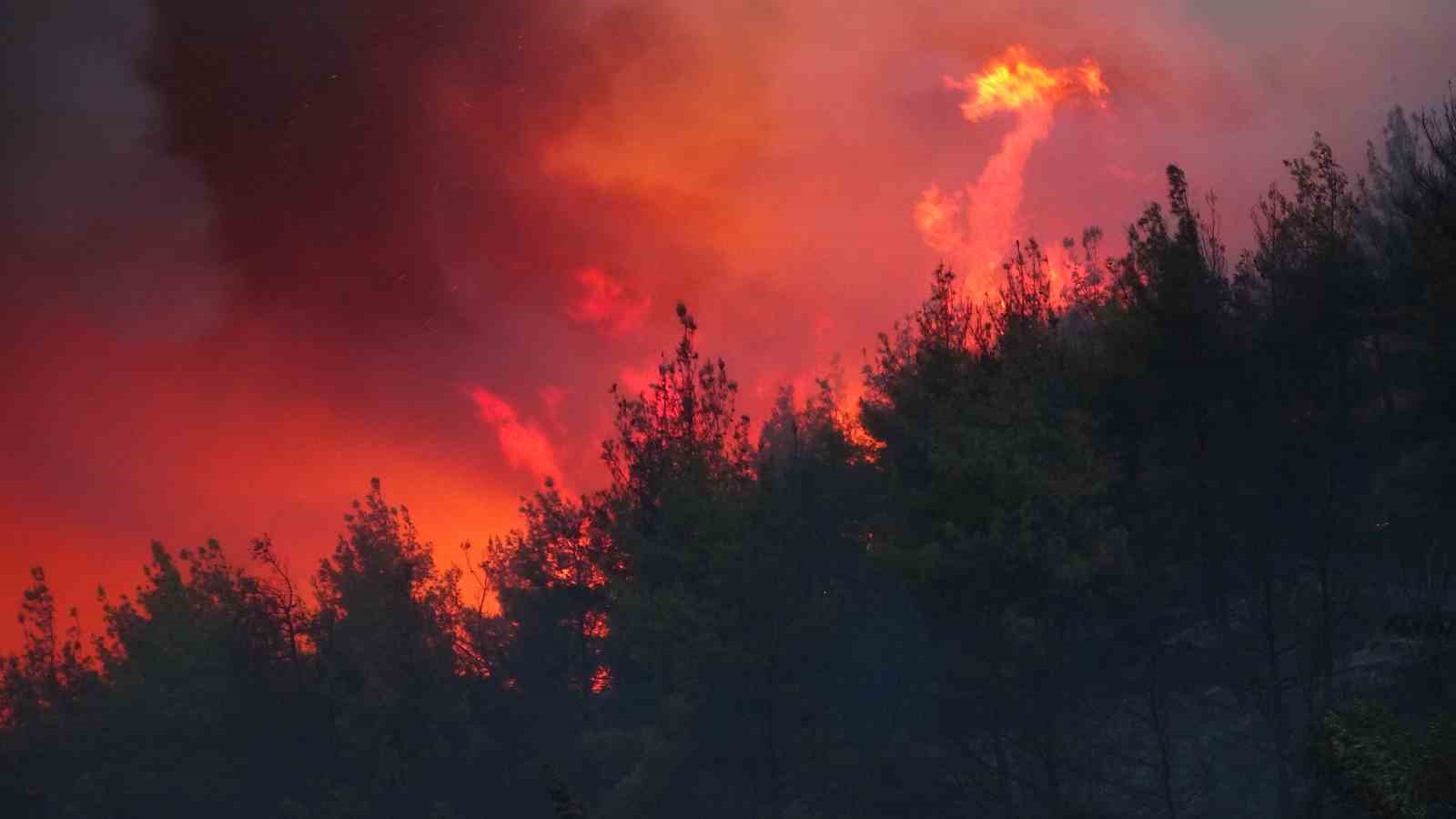 Çanakkale’deki orman yangını devam ediyor
