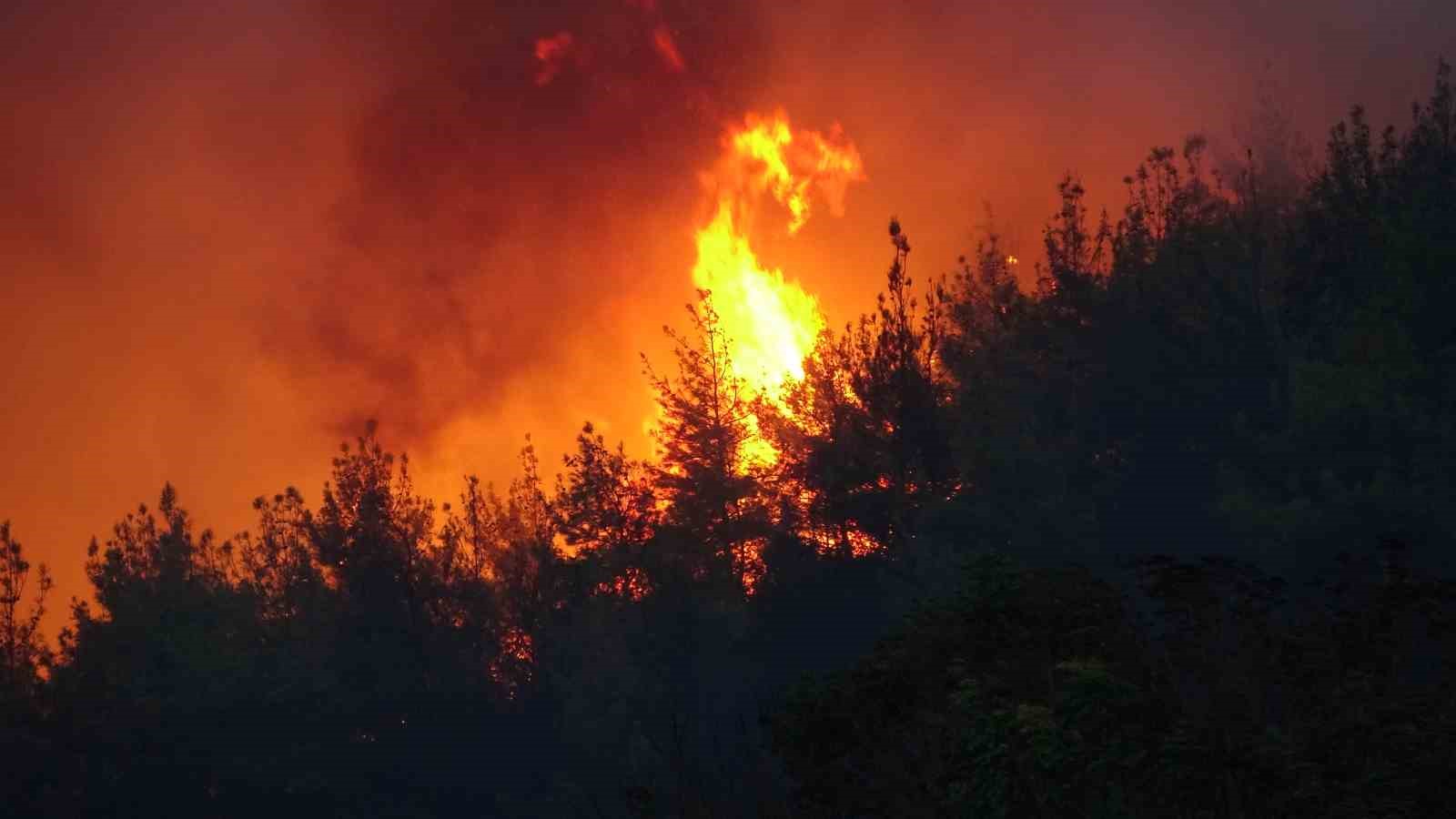 Çanakkale’deki orman yangını devam ediyor
