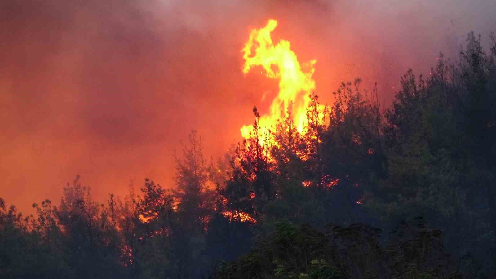 Çanakkale’deki orman yangını devam ediyor
