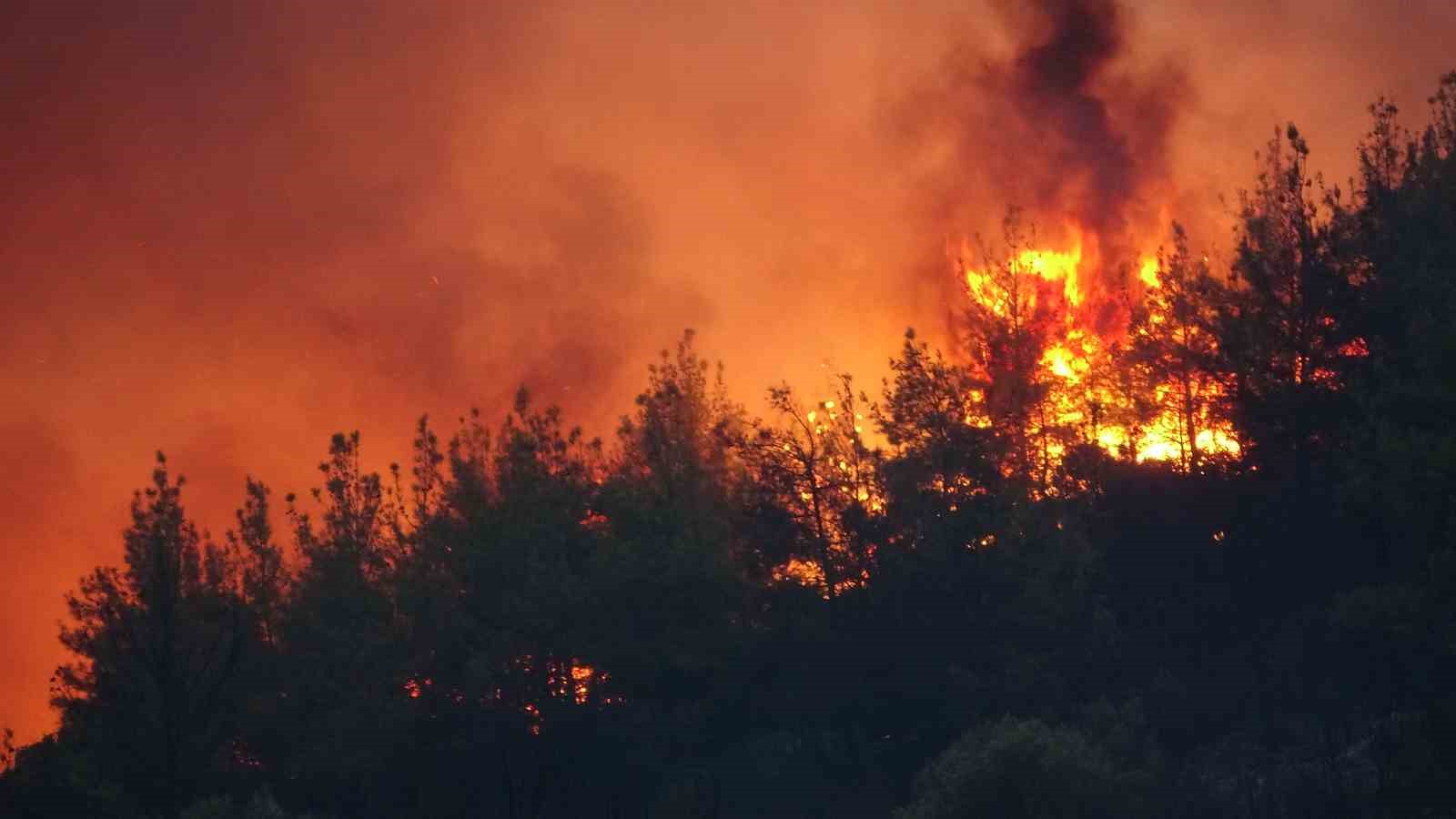 Çanakkale’deki orman yangını devam ediyor
