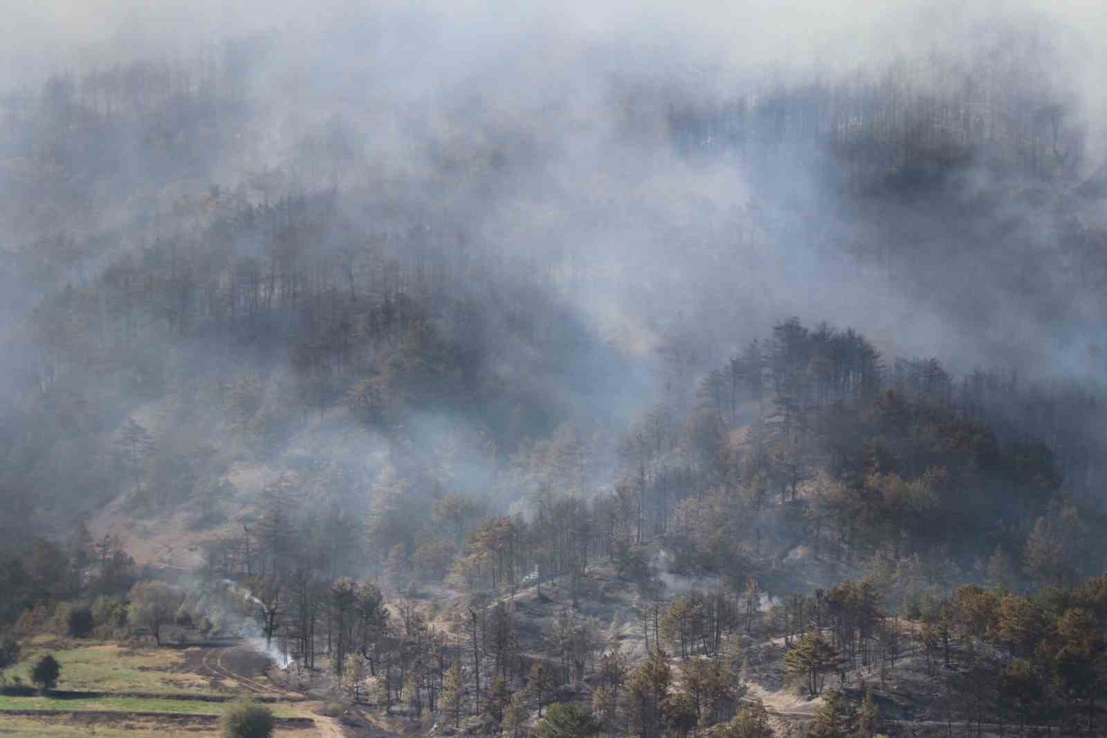 Bolu’da çıkan yangın saatlerdir söndürülmeye çalışılıyor
