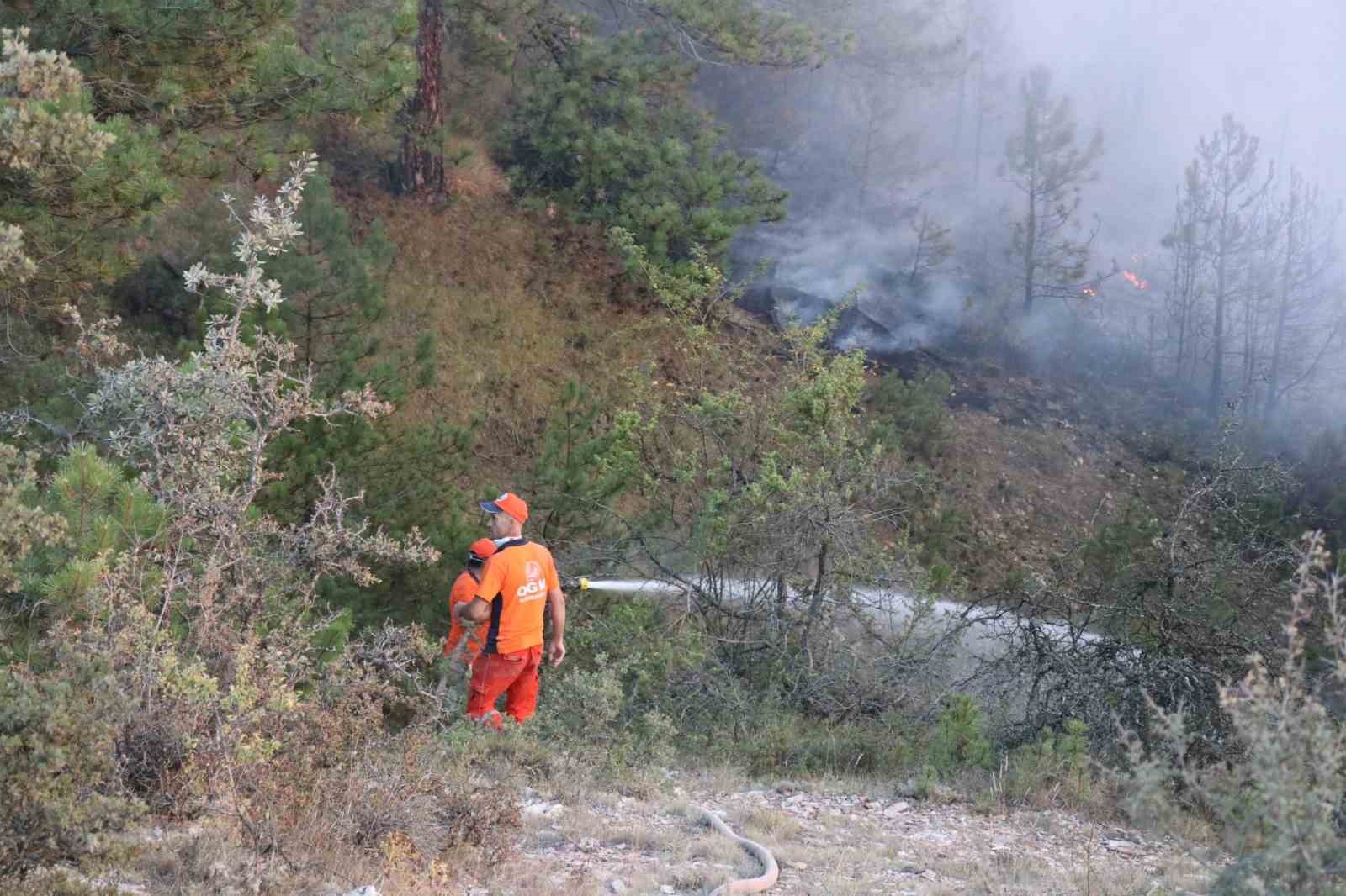 Bolu’da çıkan yangın saatlerdir söndürülmeye çalışılıyor
