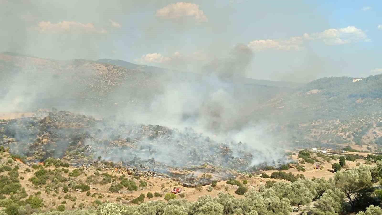 Bozdoğan’daki yangın kontrol altına alındı
