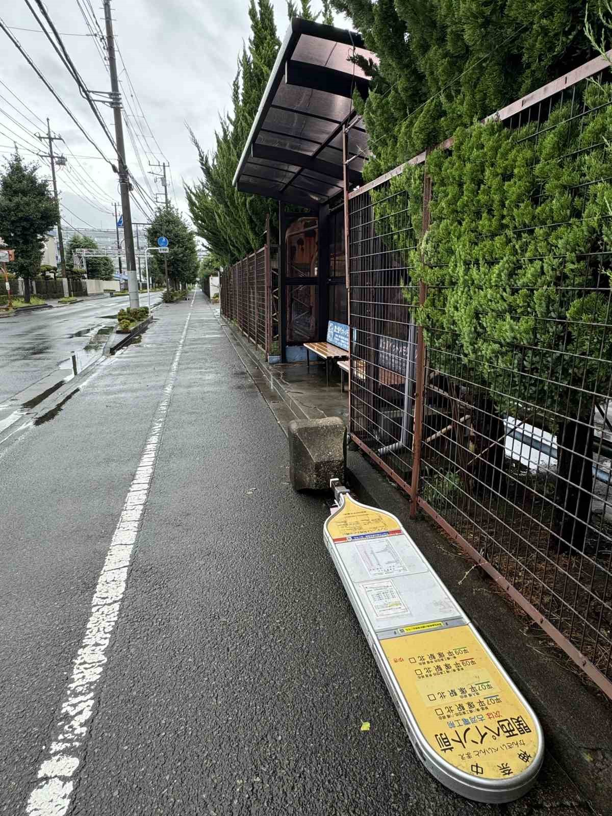 Japonya’da Ampil Tayfunu kabusu: 990 uçuş iptal edildi, tren seferleri durduruldu
