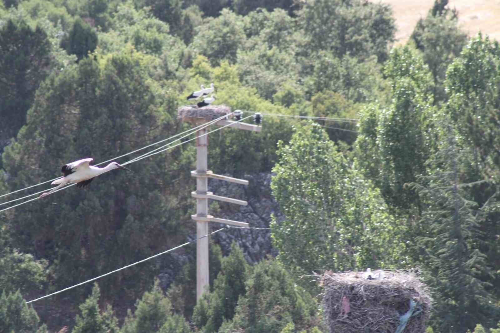 Leylekler Vadisi’nde “lak lak” sesleri sustu
