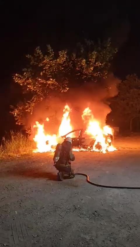 Park halindeki otomobil alev topuna döndü
