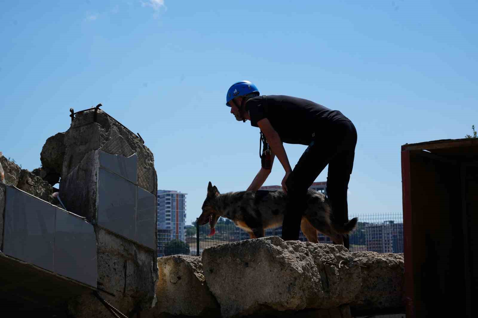 Sağlık Bakanlığı’nın ilk arama-kurtarma köpeği ’Shollie’ afetlere Samsun’da hazırlanıyor
