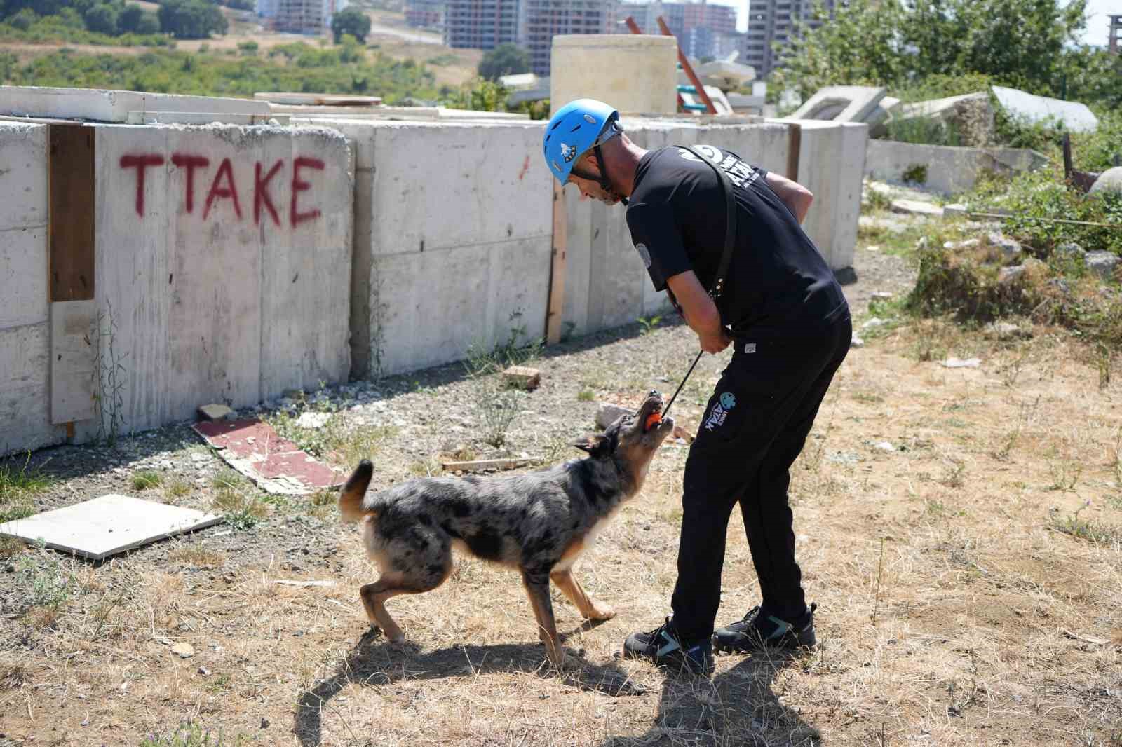 Sağlık Bakanlığı’nın ilk arama-kurtarma köpeği ’Shollie’ afetlere Samsun’da hazırlanıyor
