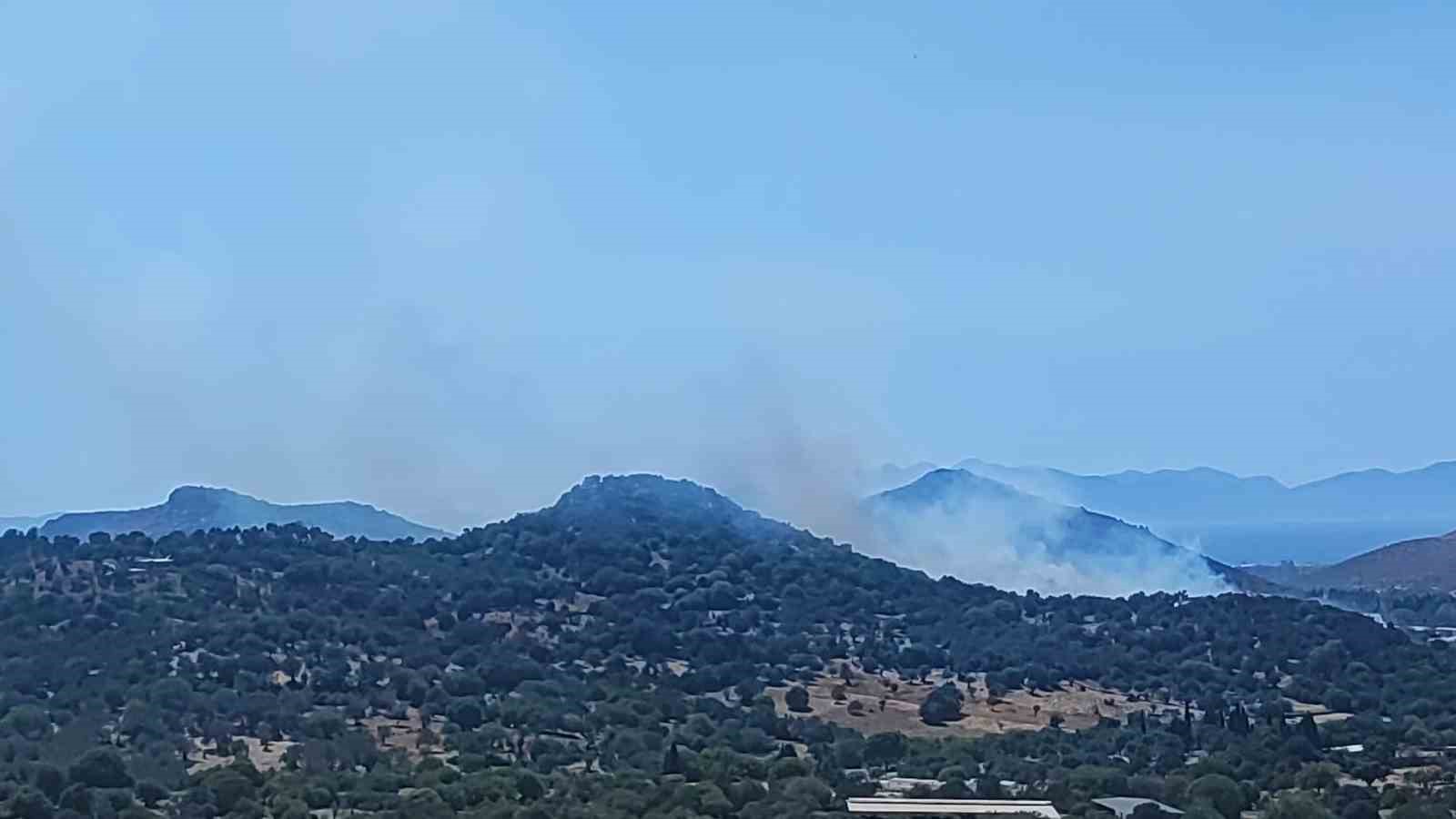 Bodrum’da makilik alanda yangın
