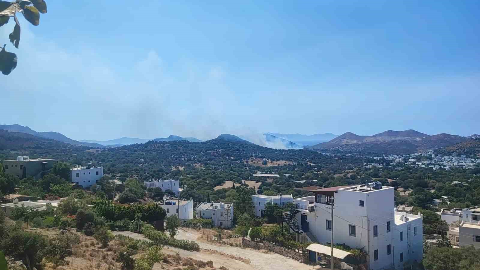 Bodrum’da makilik alanda yangın
