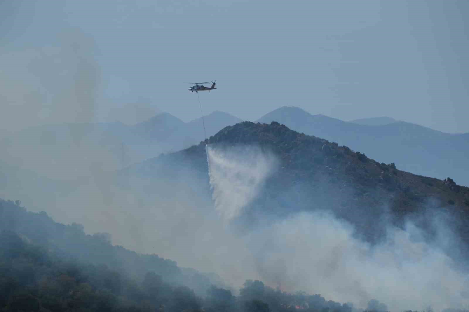 Bodrum’da makilik alanda yangın
