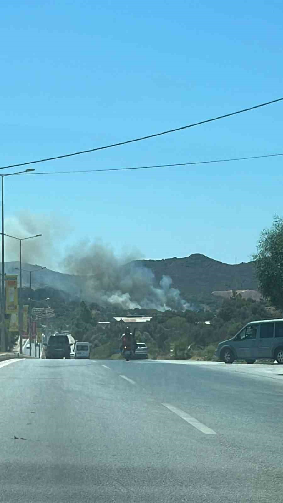 Bodrum’da makilik alanda yangın
