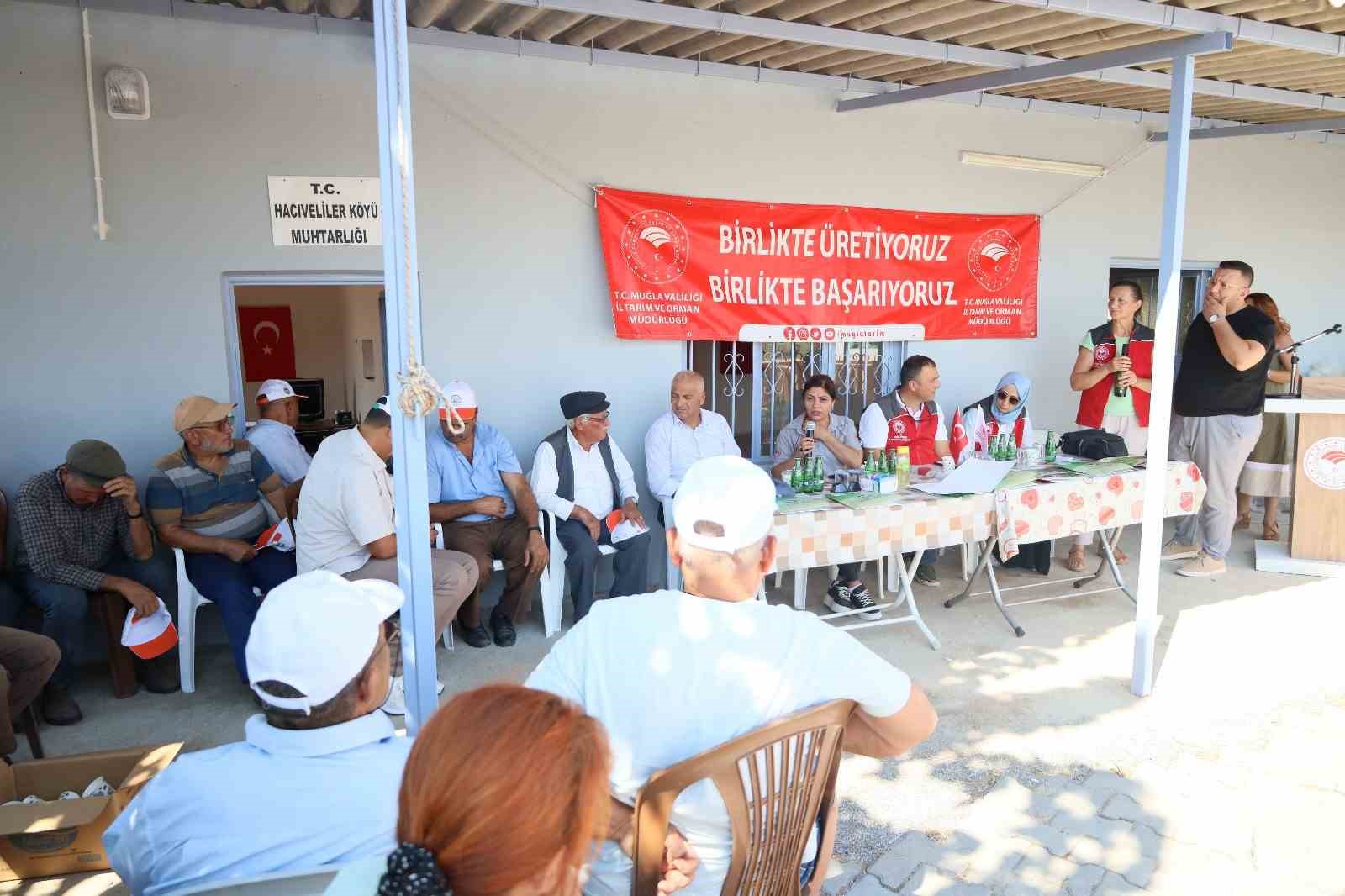 Muğla’da zeytin üreticilerine ücretsiz kaolin kili dağıtılıyor
