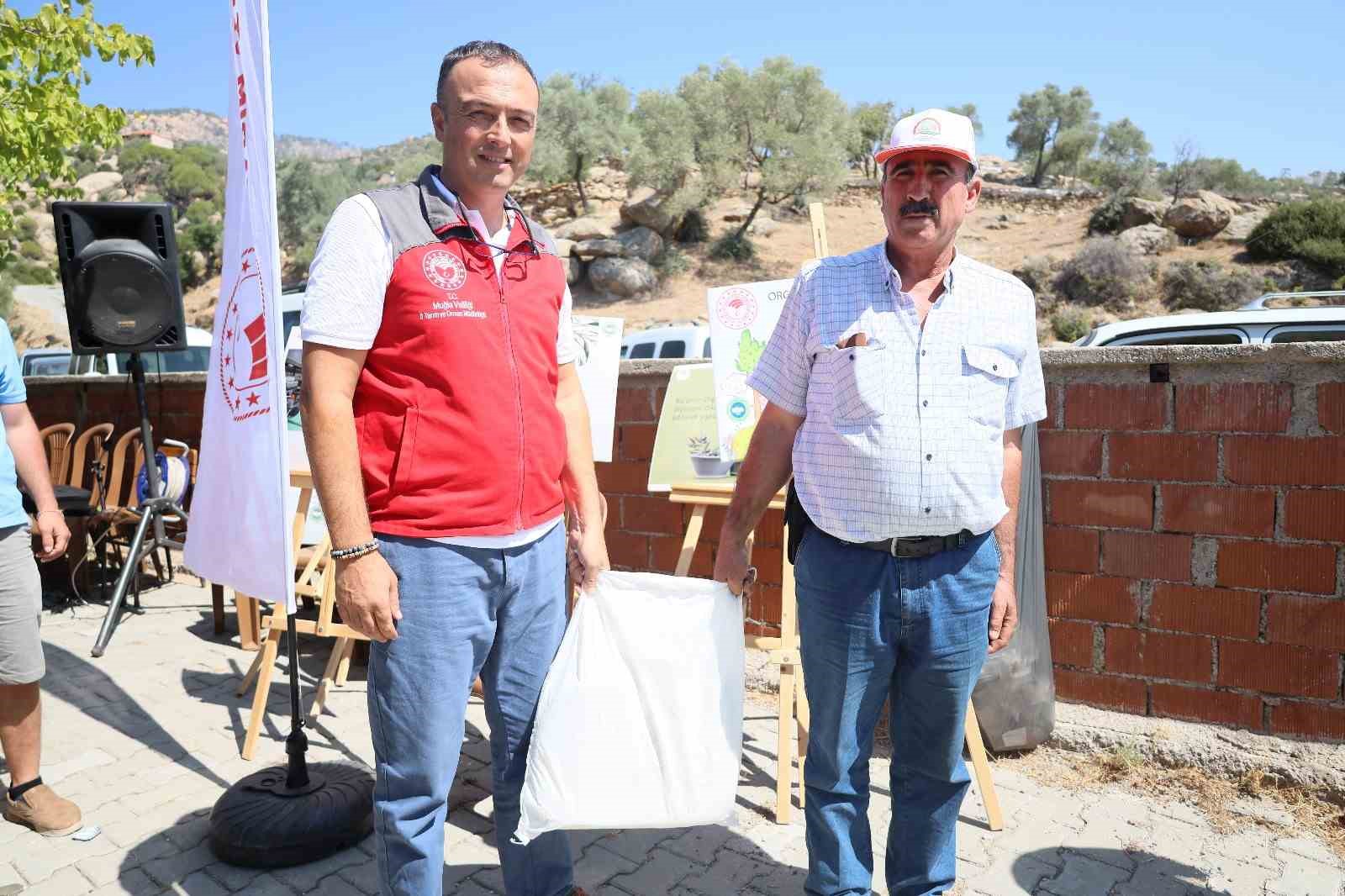 Muğla’da zeytin üreticilerine ücretsiz kaolin kili dağıtılıyor
