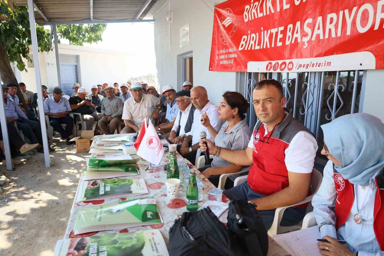 Muğla’da zeytin üreticilerine ücretsiz kaolin kili dağıtılıyor
