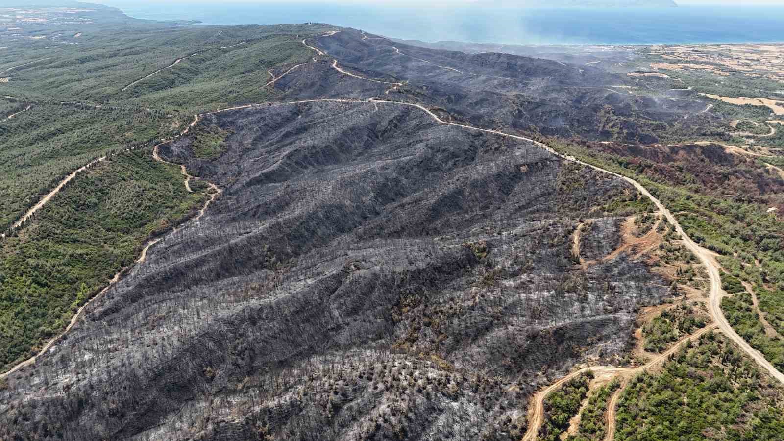 Tarihi alanda 700 hektarlık alanın etkilendiği orman yangının çıkış noktası dron ile görüntülendi
