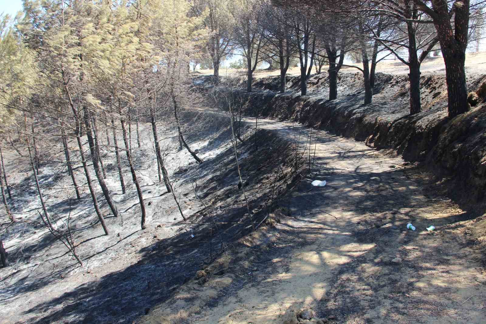 Manisalılar orman yangını için seferber oldu
