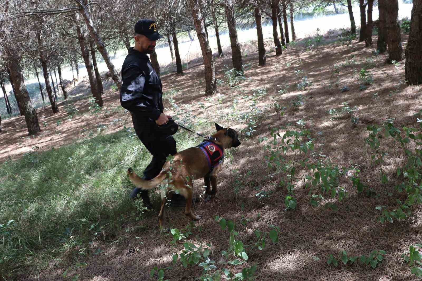 Yalova’da jandarmadan orman yangınlarına karşı denetimler
