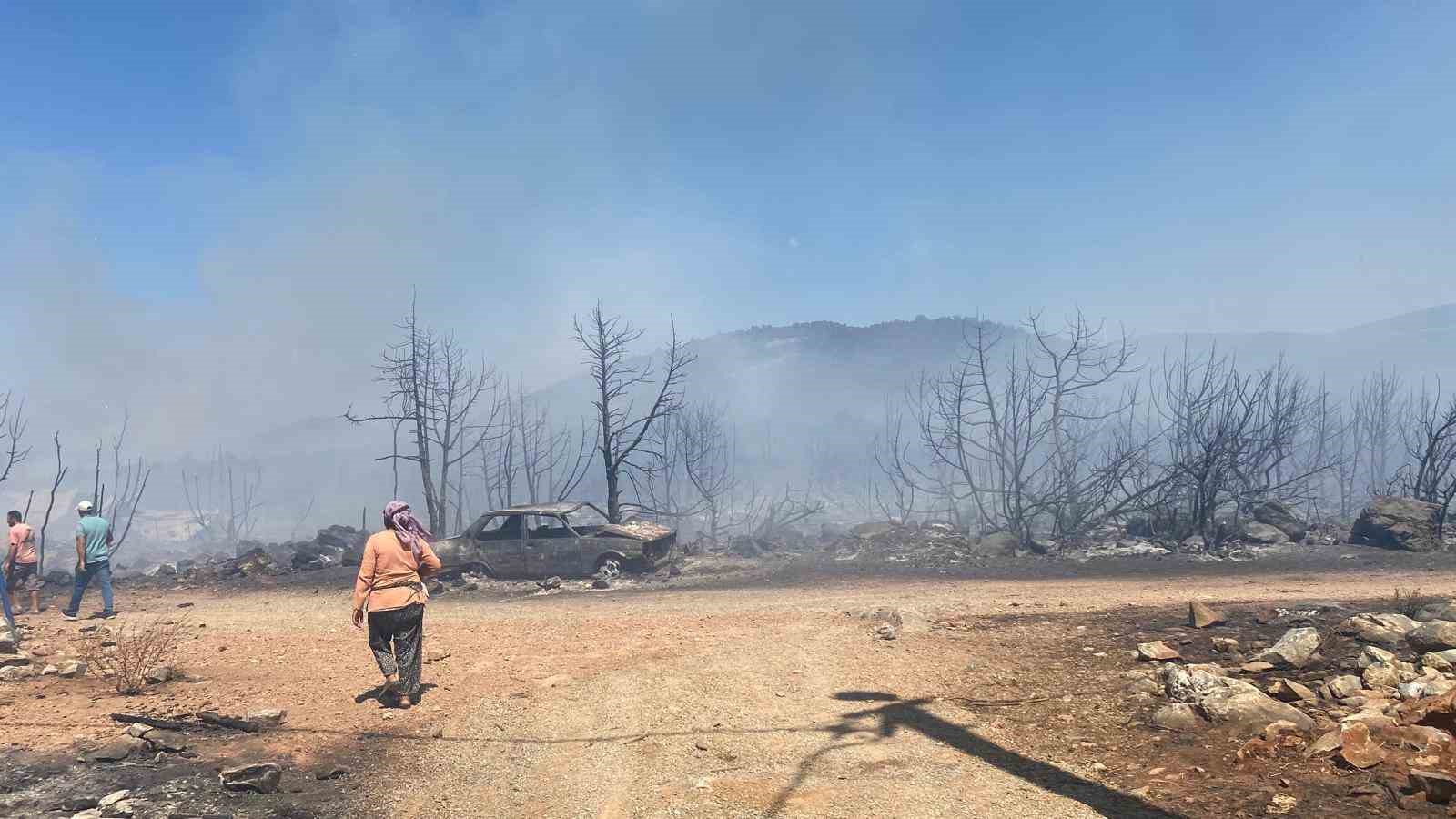 Didim’deki yangında ahır zarar gördü, hayvanlar telef oldu
