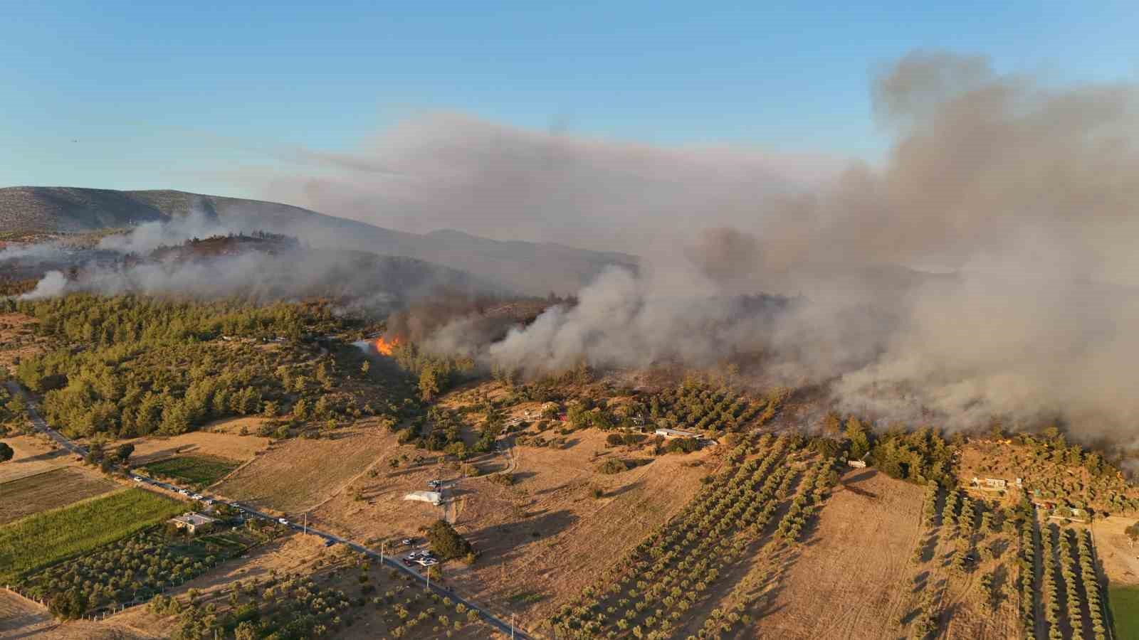 Milas’taki orman yangınına müdahale sürüyor
